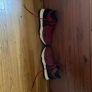 LeBron witness 4 gym red